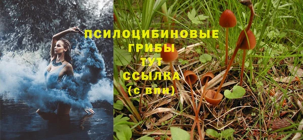 крисы Балахна