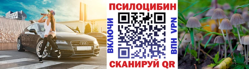 продажа наркотиков  Томмот  Галлюциногенные грибы Magic Shrooms 